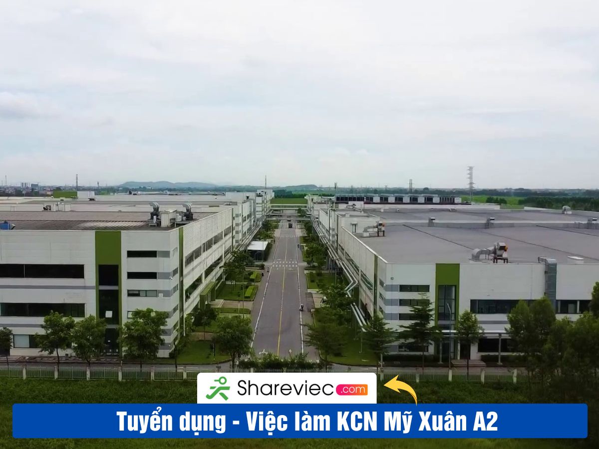 Khu Công Nghiệp MỸ XUÂN A2 Tuyển Dụng