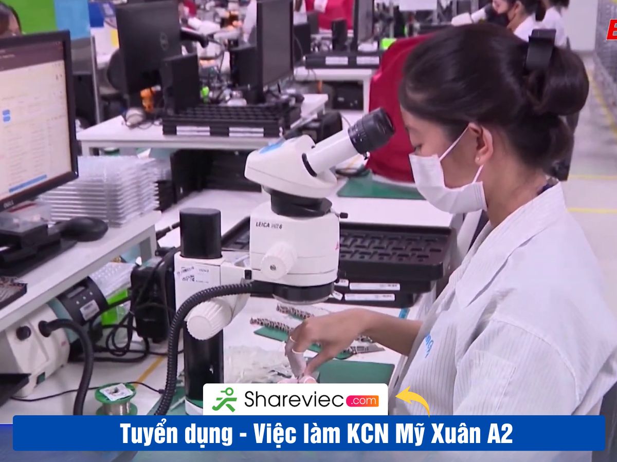 Khu Công Nghiệp MỸ XUÂN A2 Tuyển Dụng